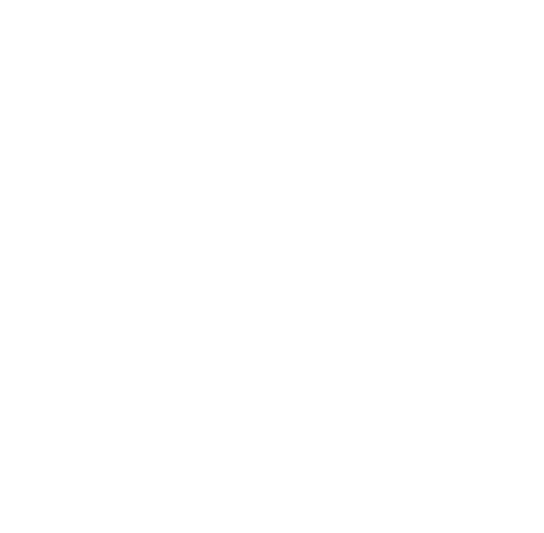 logo Black Sand Salon